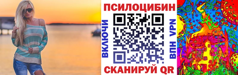 купить цена Лебедянь Псилоцибиновые грибы Cubensis